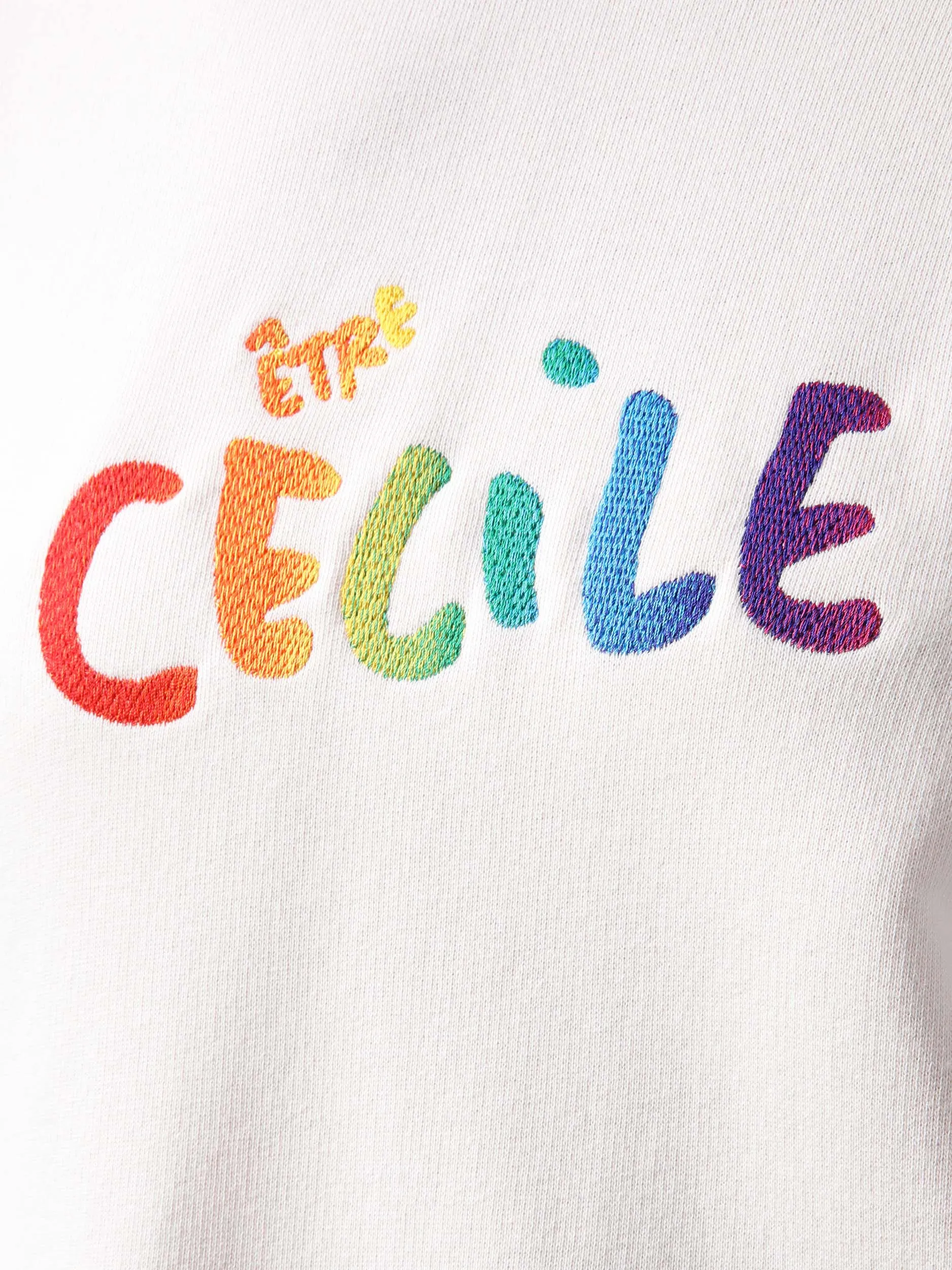 ETRE CECILE Rainbow Aurelia Hoodie